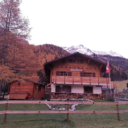 Dans La Nature Pure Au Val Ferret *