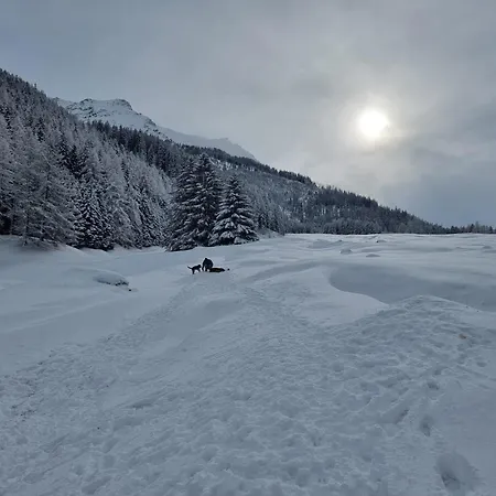 아파트 Dans La Nature Pure Au Val Ferret *