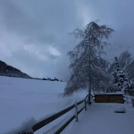Dans La Nature Pure Au Val Ferret *